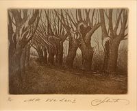 Alfred Schmidt - Druck 4-55 - „Alte Weiden II“ - Blattmaß:21,5x28,5 - 75€&hellip;