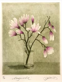 Alfred Schmidt - Grafik 14-40 - „Magnolie“ - Blattmaß:27x35 - 115€&hellip;