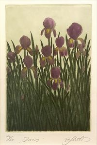 Alfred Schmidt - Grafik 14-60 - „Iris“ - Bildmaß:11,5x17 - 105€&hellip;