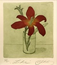 Alfred Schmidt - Grafik 15-55 - „ Lilie“ - Blattmaß:26x36 - 110€&hellip;
