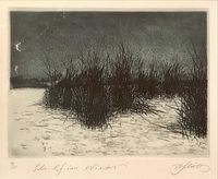 Alfred Schmidt - Grafik 19-55 - „Schilf im Winter“ - Blattmaß:25x35 - 95€&hellip;