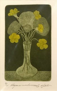 Alfred Schmidt - Grafik  22-55 - „Kapenzimerkresse“ - Blattmaß:35,5x26 - 80€&hellip;