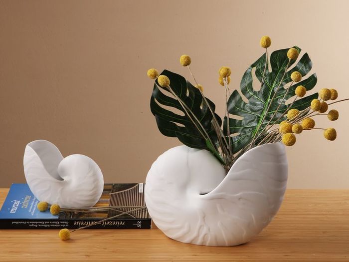 Conch, Muschelförmigen Gefäße