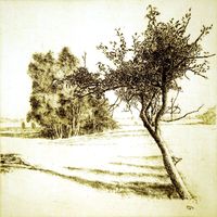 Junger Baum&hellip;