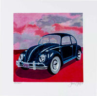 Mini Bug - Pink Sky&hellip;