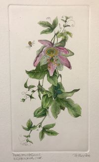 Passionsblume&hellip;