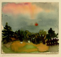 Schwarztanne-1987-Aqua-19x21 (14-6-17)&hellip;