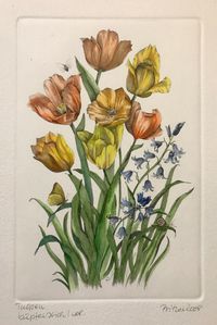 Tulpen&hellip;