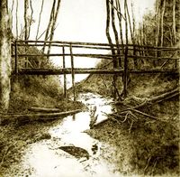 Waldwegsteg&hellip;
