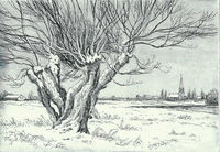 Weiden im Schnee&hellip;