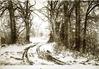 Winterweg&hellip;
